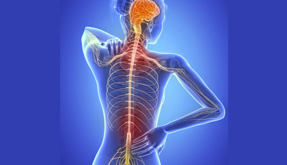 ¿Qué es la Esclerosis Múltiple?